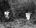 Alcander and Elizabeth Bayley - via Daymix