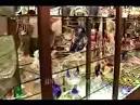 Murano Glass Blowing Ferrari Horse