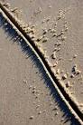 Toe the Line