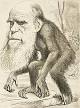 Charles Darwin - Wikipedia, the free encyclopedia