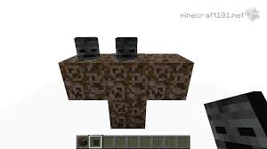 Image result for wither skulls