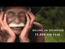 Human Rights International