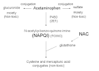 File:Acetaminophen metabolism.jpg - Wikipedia, the free encyclopedia