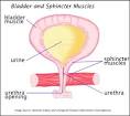 Urinary Incontinence-Women's Health