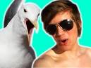 NAKED BOY ATTACKS SEAGULLS!