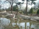 TQ3470 : Dinosaurs at Crystal - via Daymix