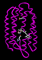 Archaea - Wikipedia, the free encyclopedia