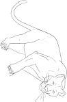 Panther coloring page