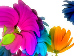 http://t2.gstatic.com/images?q=tbn:ANd9GcRMkvXOBVGDS-TokTJ6TkAsuwPWY0AzFyyCI1ZaEG346E30aGr6