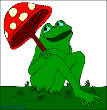 Frog Picture of the Month