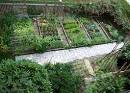 How to plan a Good Organic Vegetable Garden
