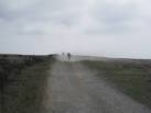 Riders from the Apocalypse. Bikers on Westside Road leave a trail of dust as - via Daymix