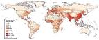 Mapping global urban and rural population distributions