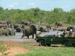 East Africa Safari Tour