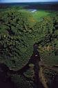 Congo, Republic of the: Congo rain forest -- Britannica Online ...
