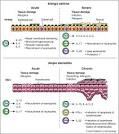 Science Direct.com - Current Opinion in Immunology - IL-17 and IL ... 