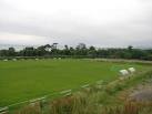 A view of the soccer pitch at Foyle Park. - via Daymix