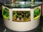 7 Creative Home Decor Ideas – Interesting Details › Home Interior ...