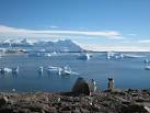 Ted's (Excellent?) Adventures Antarctica 