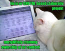 while(false){.net}: Cats - via Daymix