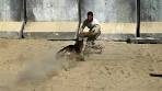 War Dogs! - Atlas Shrugs