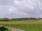 Auto-grass track racing - via Daymix