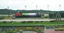 Well worth a visit: The Singapore Turf Club