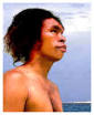 Java man, Other Skulls Found, Arguments about Java Man, Was Java ...