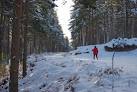 NO5893 : Cross Country Skiing - via Daymix
