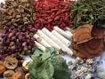 About Chinese Herbal Medicine