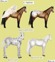 images?q=tbn:ANd9GcRPQubPeA6n6Kb2nW5sFBsQRRQvcmnYbnPJ71bdvGONE5GKfN-c