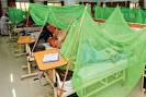 Dunya News: Pakistan:-Dengue kills six more in Lahore...