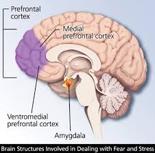 Post Traumatic Stress Disorder Treatment