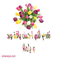 نكت اخر حاجة Images?q=tbn:ANd9GcRPrNmESwTgecsbLxlg-P2orRhnvhPsq4EWeDjVkUEEybB6b-hh_Q