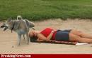 Sand Trap Nap