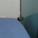 Sky Bar   Los Angeles   Reviews of Sky Bar   TripAdvisor