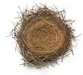 empty nest syndrome affects