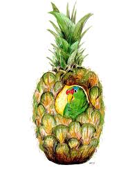 Image result for pineapple recipesurl?q=https://www.instagram.com/quartersheets/p/CduGXo0FBtx/