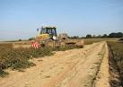 Sometimes a flail vine shredder is used, an implement consisting - via Daymix