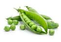 How to Grow Green Peas | Backyard Gardening Blog
