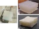 ScienceDirectcom   Biomaterials   Chitosan  A versatile