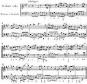 Meaning Of Music - History | History of Music | Guitar
