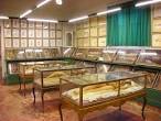 Museum of Natural History (La Specola)