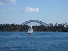 pirates sailing on sydney - via Daymix
