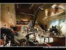 Dinosaurs At The Smithsonian
