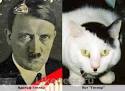 Адольф Гитлер похож на Кота