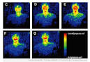 Humans Emit Light - and Not Like the Movie "Cocoon" Either | Jim ...