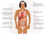 Australian Health Depart Needs Anatomy Lesson