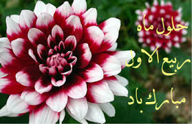 دانشگاه
