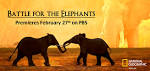 Battle for the Elephants: Web Series Intro – News Watch